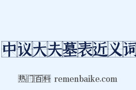 中议大夫墓表近义词是什么意思的图片